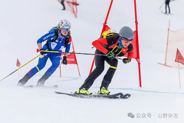 中国滑雪登山队！5人参赛揽7金 米兰冬奥有望创历史