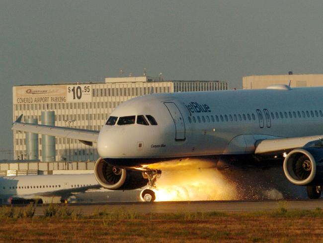 热搜：荷兰皇家航空客机因猪太臭紧急降落 猪味影响飞行安全