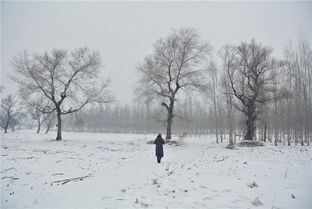 南方游客扎堆去东北 冰雪游热度飙升